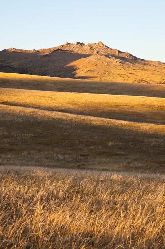 The Steppe